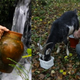 Image for article titled Modern Day Hermits and Robinson Crusoes